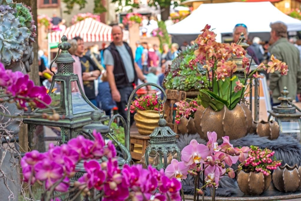 Blumenmarkt (Foto: Stadt Mosbach)